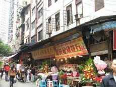 重庆皇田花卉市场图片