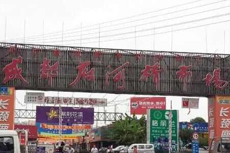 ɶгǨ