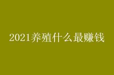 2021ֳʲô׬ǮЧ