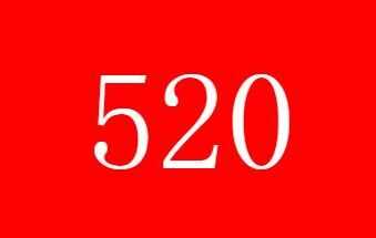 520ʲô
