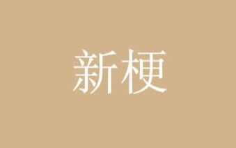 Ծʲô˼
