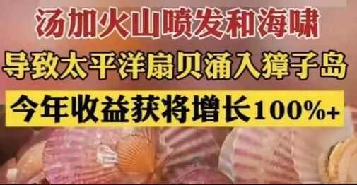 ӻɽ緢ȱӿӵ
