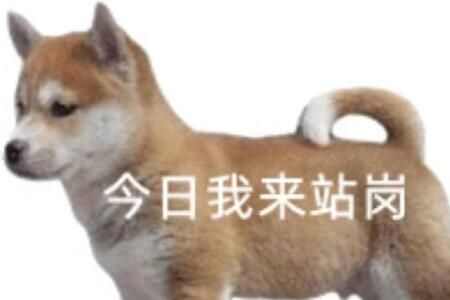 վСʲô