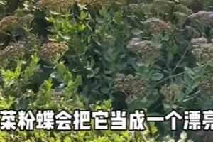 ˷۵Լʲô