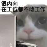 ڹλҹȫ