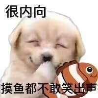 ڹλҹȫ