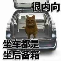 ڹλҹȫ