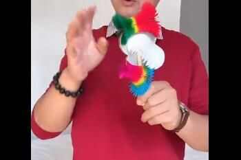 ʮôıʲô