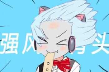 ǿͷʲô