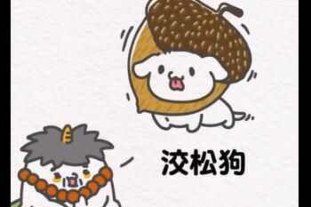 ˮʲô