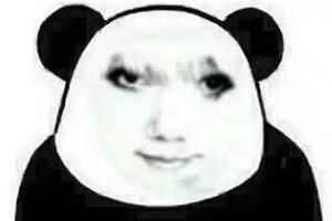 ͼʲô