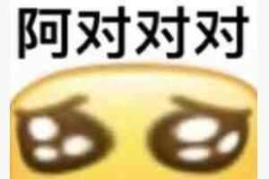 ԶԶʲô