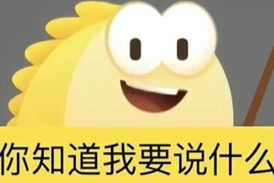 ѧʲô