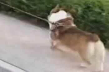 ѧ֤ʲô