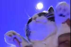 ֱֱ׹ʲô˼
