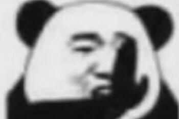 ᶨҪ뵳ʲô