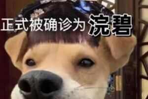 ʽȷΪxxʲô