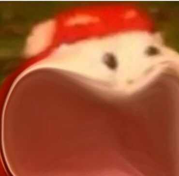 °ͱЩ
