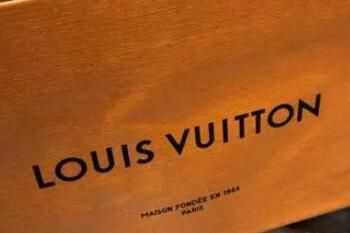 LVôΪʲô