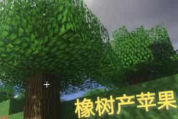 ţMCҲʲô