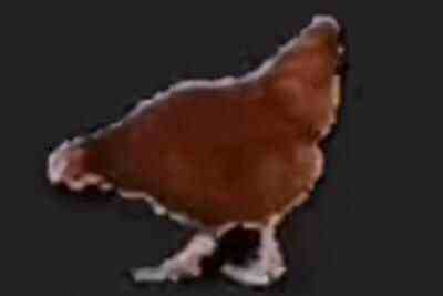 үʲô