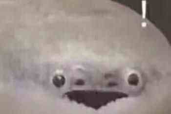 ʲô