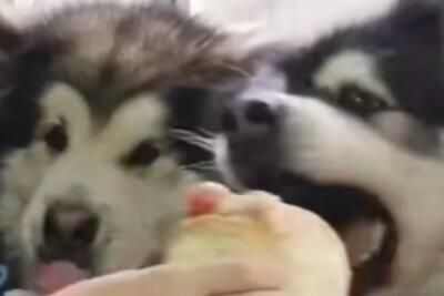 Ҫǲ˾ȥŶʲô
