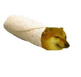 㳦ͼƬȫ