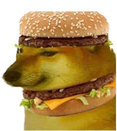㳦ͼƬȫ