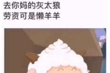 ӿʲô
