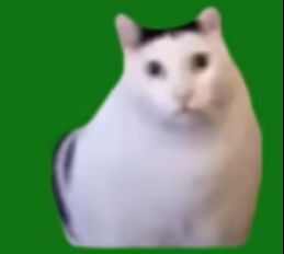 huhèֽбͼƬȫ