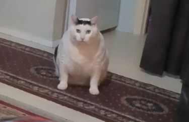 huhèֽбͼƬȫ