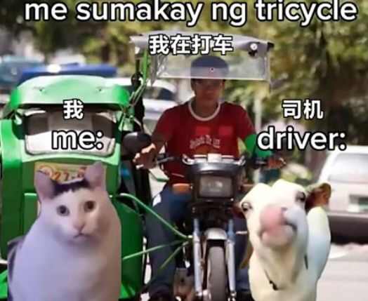 huhèֽбͼƬȫ