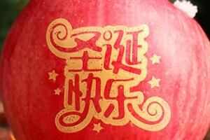 2023ʥƻһ