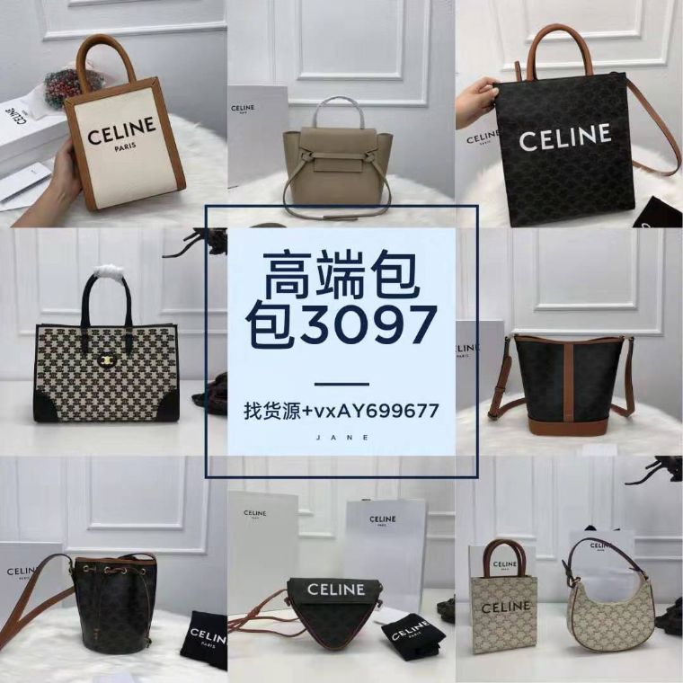首发chanel2021春夏系列*新限量版小香金属包bag腰包货